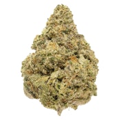 Blakh Haze - Super Jack Herer - 7g Dried Flower