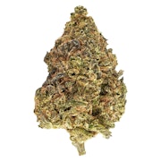 Blueberry Muffinz 7g Dried Flower