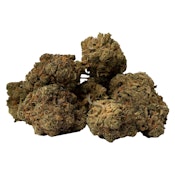Houston's Problem 7g Dried Flower