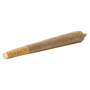 Saturn V Pre-Roll 1x1g Pre-Rolls