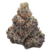 Station House | Northern Lights Flower - Indica - 28g