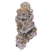 Northern Canna | Hot Rod Flower - Hybrid - 3.5g