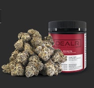 DELAR - Hella Jelly (28g)