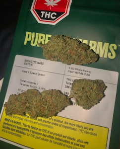 Pure Sunfarms - Pure Sunfarms - Galactic Haze - 3.5g