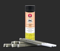 BC Doobies - Golden Strawberry (10x0.5g)