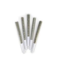 DEALR - ALPINE GLUE - 5 X 0.5 GRAMS