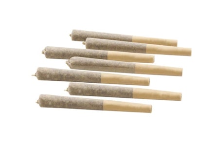 Woody Nelson - Woody Nelson | Country Club (Gastro Pop) Pre-Roll | 7 x 0.5 g