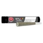 Cannon Pre-Roll 1x1g Pre-Rolls