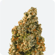 Cabin Fever Kush (Platinum Dosi) 3.5g