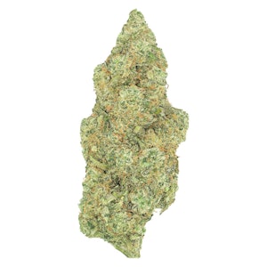 Greybeard - Greybeard - Critical Diesel 3.5g Dried Flower - Sativa