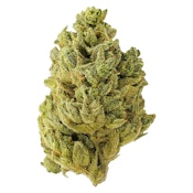 Tantalus - Pacific OG 3.5g Dried Flower - Sativa