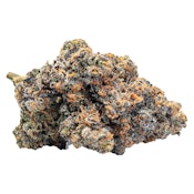 Cookies Gelato YaHemi 14g Dried Flower