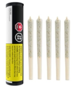 1964 - Comatose 5 x 0.5g Pre-Rolls - 1964