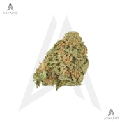 Grand Daddy Purps | 7g
