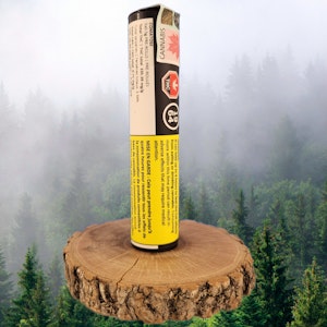 1964 - 1964 | ORGANIC COMATOSE PRE-ROLLS | 5 x 0.5g