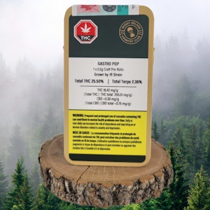 Woody Nelson - Woody Nelson | COUNTRY CLUB (GASTRO POP) LTO PRE-ROLLS | 7 x 0.5g