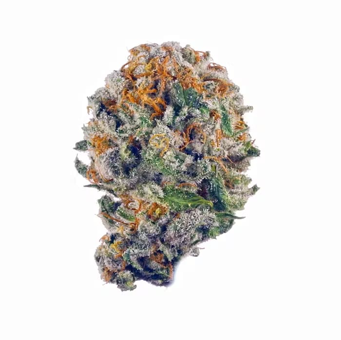 Toba's Hybrid  MILL A Toba Mint Cookies 28gm