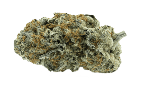 Partake - Orange Squeeze 14g Dried Flower