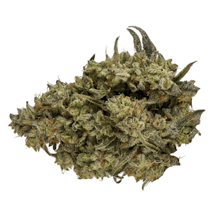 Orchid CBD - ORCHID - CBD Runtz 3.5g