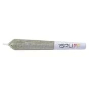 1Spliff - Biscotti Pre-roll 2x1g Pre-Rolls