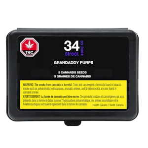 34 Street Seed Co. - Grandaddy Purps 5 Pack Seeds