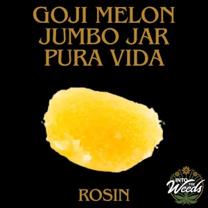 Pura Vida - Goji Melon Jumbo Jar Live Resin - 1.2g
