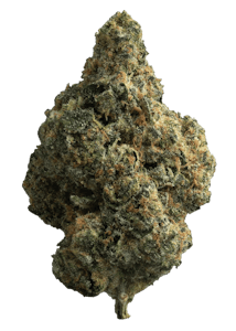 The Republic - Black label 28g Dried Flower