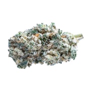Fraser Valley - Kush Breath (28g)