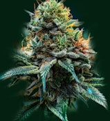 Deep Fried Cookie Dough 7g Dried Flower