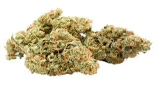 GOOD BUDS - MANGO CAKE DRY FLOWER - 3.5 Main Image