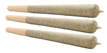 POWDERED DONUTS PRE-ROLL - 1.5