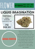 7G - BACK FORTY - LIQUID IMAGINATION