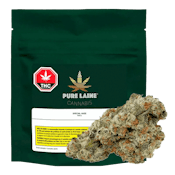 Special Haze 14g Dried Flower