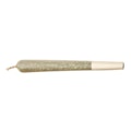 Orange Kush Shatter Infused Pre-Roll 2g