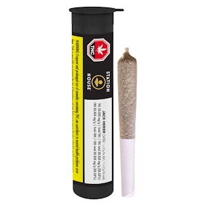 Station House - Jack Herer 1 x 0.5g Pre-Roll