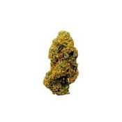 COCOBAMBA - 7