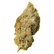 Palmetto - Orange Bud - 28g