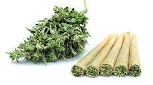 THUMBS UP - SATIVA PRE-ROLL - 5 GRAM - 10PK