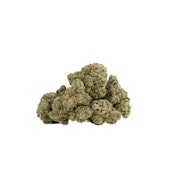 Glazed Apricot Gelato 14g