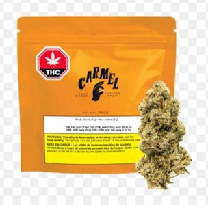 Carmel - Animal Face 7g Dried Flower - Carmel