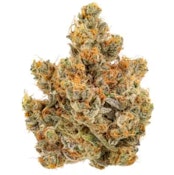 Sheesh Key Lime Pie 28g Dried Flower