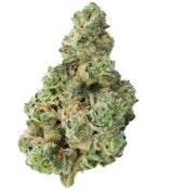 JET FUEL PIE | The Loud Plug 7g Flower | Rest