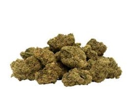 7ACRES WHITE WIDOW X