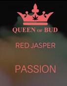 Queen of Bud Red Jasper 6 x 0.5g Infused Pre-Rolls