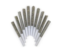 GENGHIS CHRON PRE-ROLLS - 10X0.5G