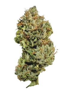 Saltspring Magic - SALTSPRING MAGIC - PINE TAR 3.5G