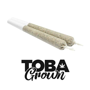 GALAXIE - TOBIES SATIVA 2X1G