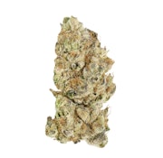 BROKEN COAST - PLATINUM PAVE - 7 GRAM