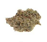 BROKEN COAST CANNABIS - AMNESIA HAZE - 28 GRAM