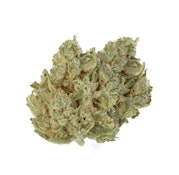 GOLDEN SPRUCE - BLACK TUNA LTO - 14 GRAM